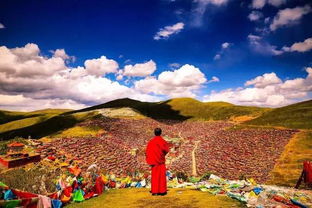 去西藏应该这样旅行,您不知道就OUT了 