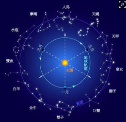 月圆中秋夜 精彩城市生活,尽在活动行 