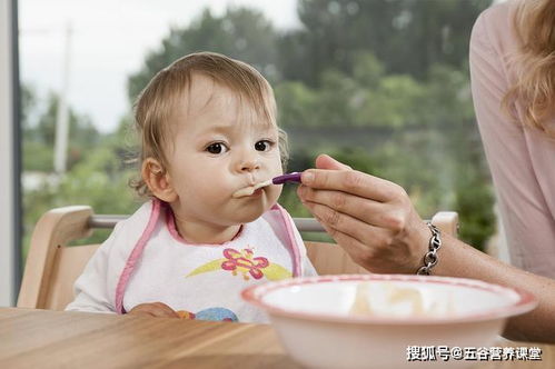 关爱宝宝饮食健康,规律膳食最关键 不让宝宝有 甜蜜的负担