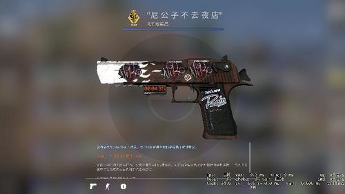 CSGO我的名称标签分享 