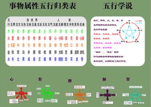 吉明风水 五行对应身体部位知多少 