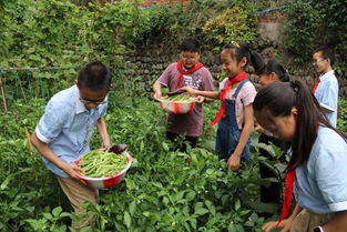 茄子励志语-三年级种植什么植物好？