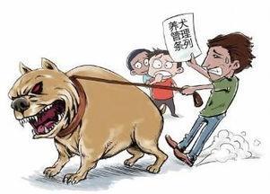 用外国的养狗条例来看看中国几人能做到 