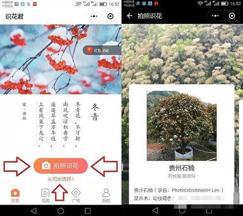 如何用微信识别花朵(怎样用微信识别花草)