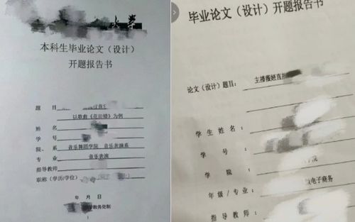 浙江大学林长松毕业论文