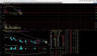 怎样修改公式把文华财经MACD红绿柱变粗?