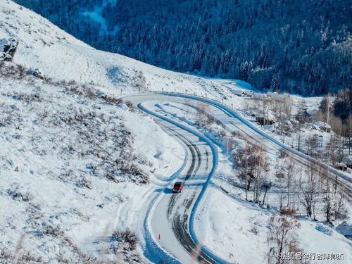 为什么滑雪一定要去阿勒泰 崇礼都比不过它,那有最完美的 雪