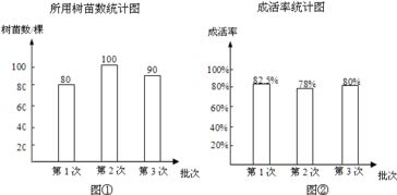 成活率一定，成活的树苗的数量和种植的树苗的总数量。成比例么？成什么比例 ？