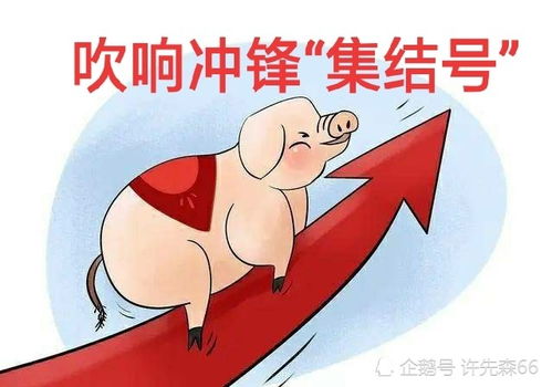 猪肉涨价怎么这么厉害