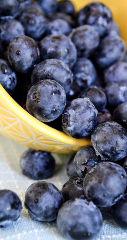 蓝莓可以冷冻保存吗,冬天蓝莓怎么存放
