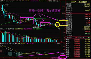 周线底背离已两年该股票后怎样