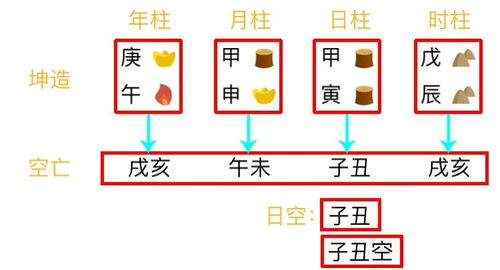 易学君总复习 快速看穿八字网络排盘器界面 下