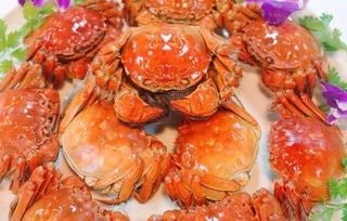 终于定了 峡山首届螃蟹龙虾海鲜狂欢节,10月26日盛大开幕 福利在文中 