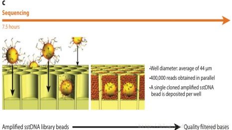 高通量测序原理及其发展简介