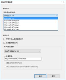 win10安装Ubuntu双系s