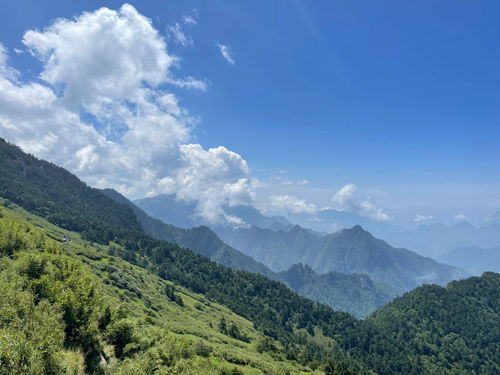 神农架游玩攻略,非常详细 