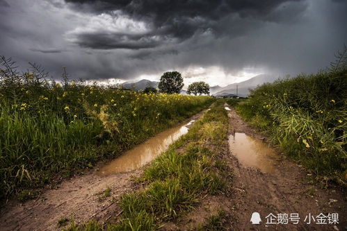 读苏轼词 定风波 ,竹杖芒鞋轻胜马,谁怕 一蓑烟雨任平生