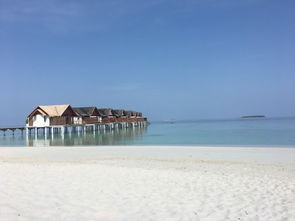 马尔代夫芙拉玛丽岛海滩美景与悠闲度假（马尔代夫芙拉薇莉岛）