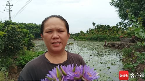 我和我的自贸港 就业 琼海大路镇莲花种植户卢美燕 把芳香产业推向国际 