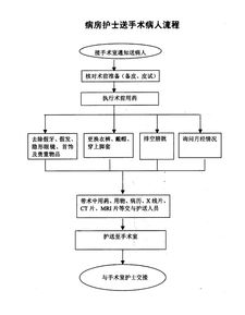 护理流程