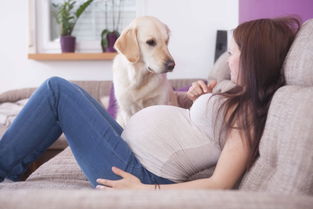 情趣男女 老公必备 女性怀孕前后需要做哪些准备