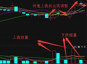 股票缩水不足1手了怎么办