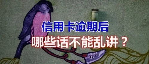 逾期之后,每天都接到很多催收电话,你知道哪些话不能随便乱说吗