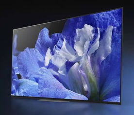 一台 OLED 电视,带来家庭观影新体验