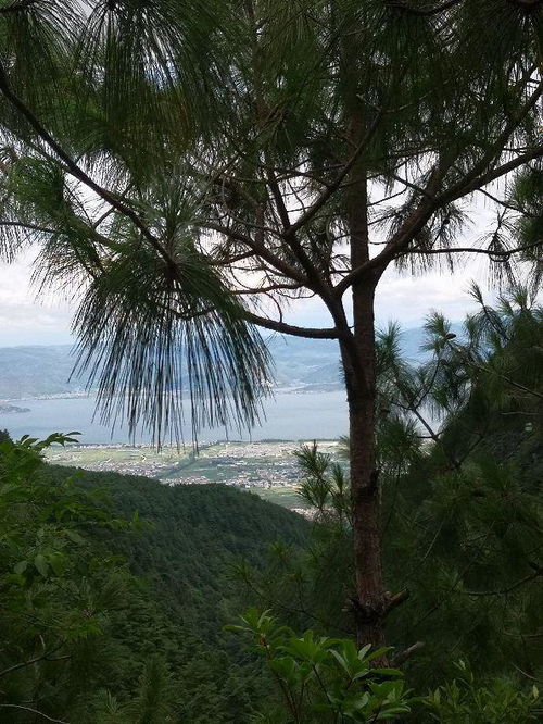 云南行 雨后爬苍山