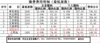 请问个人交社保每年交多少钱，到退休年龄每个月开多少钱.