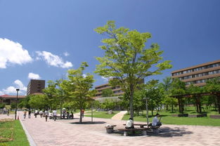 广岛大学日本排名(图1)