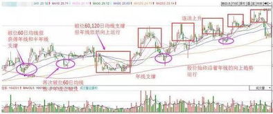 大智慧一千以上均线怎样设置