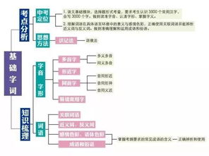 议论文的知识点以思维导图