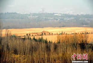 西安汉宣帝杜陵保护区内现不明施工