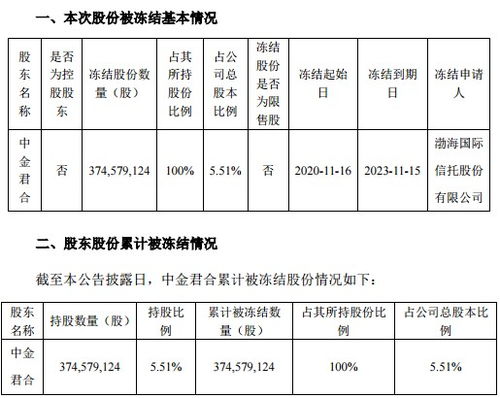 关于有限责任公司股份份额