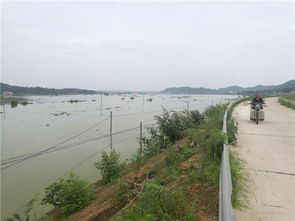 水灾无意 人有情 洪水来袭,他们这样保卫家园