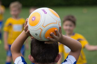 外国儿童足球赛事图标含义_外国儿童足球赛事图标解析