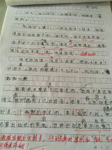 开学见闻作文范文（开学趣事作文100字？）