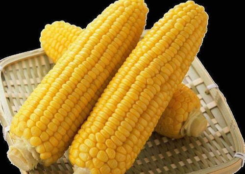 玉米和此物是天生的敌人,不能一起食用,一起来了解下