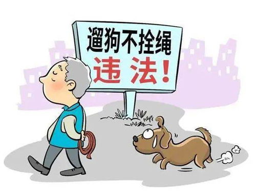 天津市文明行为促进条例 典型执法案例①治理城市建成区违规养犬