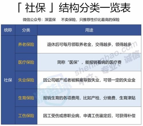 40 55岁还能交社保吗 怎么交最划算 最新政策解读