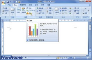 word2007插入图表如何操作