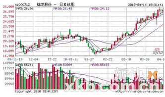 清远金泰化纤是不是现在的锦龙股份