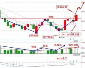 9阳股分有限公司地址槐荫区美里路999号和新沙北路12号路是1个地方？