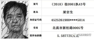 2019年第一批 北流法院曝光30名 老赖 ,有你认识的吗