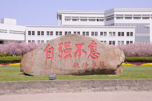 上海大学学工办(上海大学教务处登录入口)