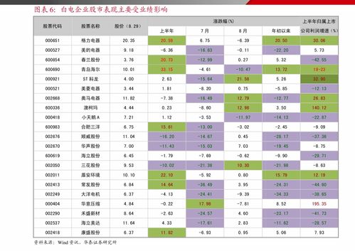 篮球品牌伙伴排名榜最新