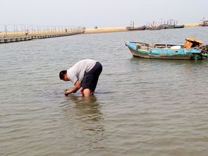 江苏看海10大最美海滩