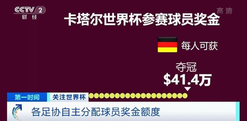 2022年卡塔尔世界杯奖金有多少(卡塔尔小组赛奖励)