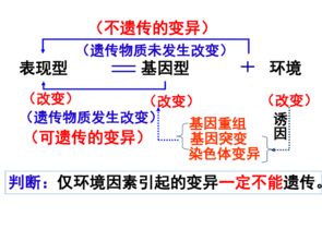 生物：F2性状重组或基因重组，重组是对于谁来说的？亲本或是F1或是亲本和F1